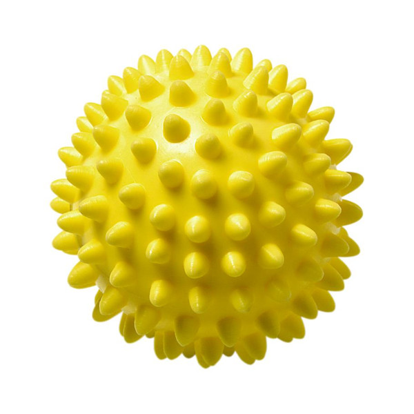 Wellness-Ball